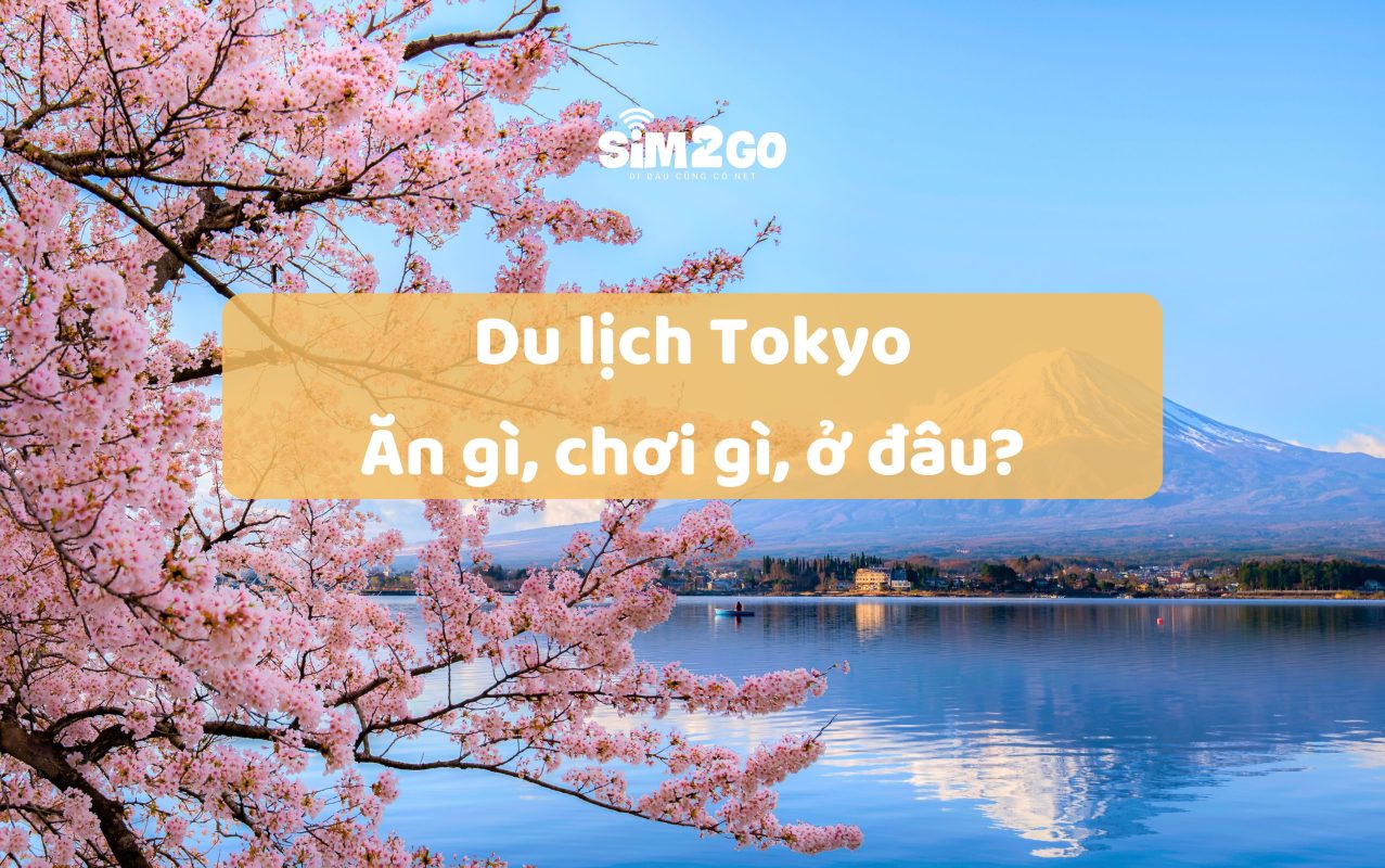 du-lich-tokyo-an-gi-choi-gi-o-dau